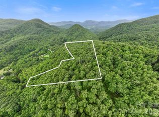 99999 Little Pisgah Rd, Gerton, NC 28735