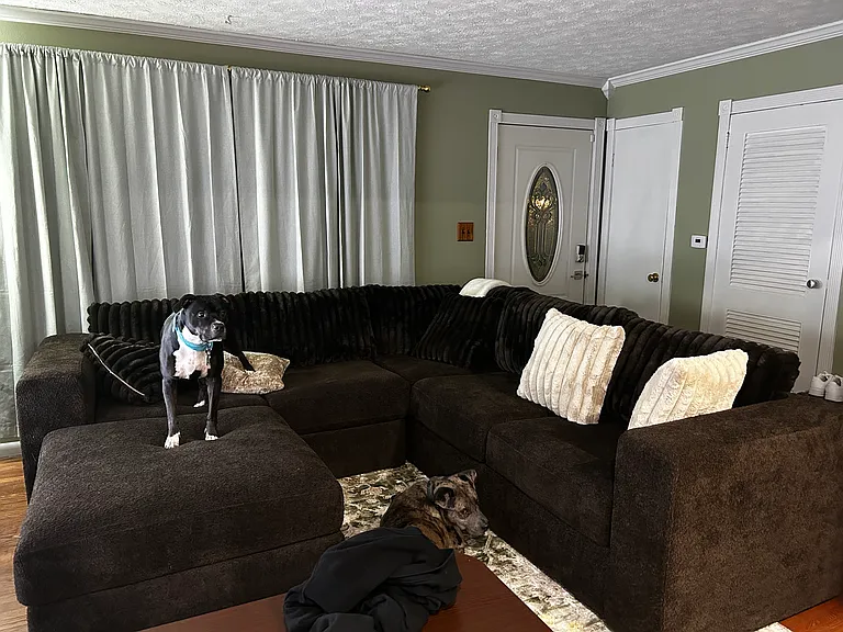 516 N Church St — Photo 3