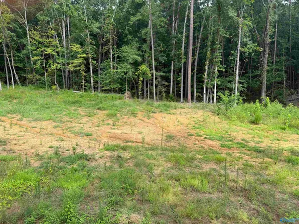LOT 11 County Road 114, Scottsboro, AL 35769