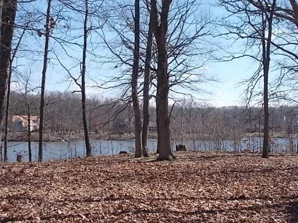 77 Beyers Lake Est, Pana, IL 62557