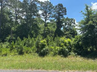 0 Pataula Park Rd, Georgetown, GA 39854