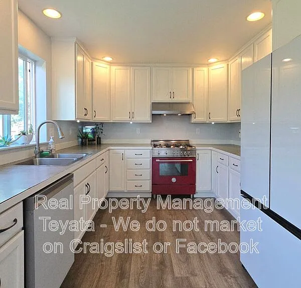 4814 Starfish Ln — Photo 6