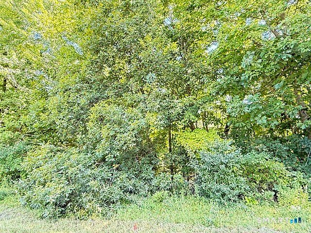 2nd image of Beaver Dam Road