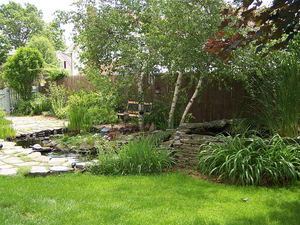 water pond