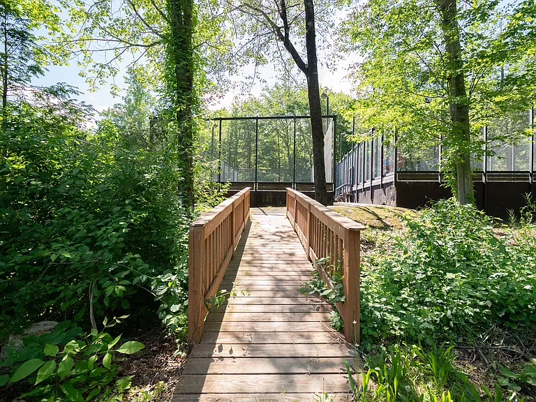 213 Ledge Dr — Photo 20