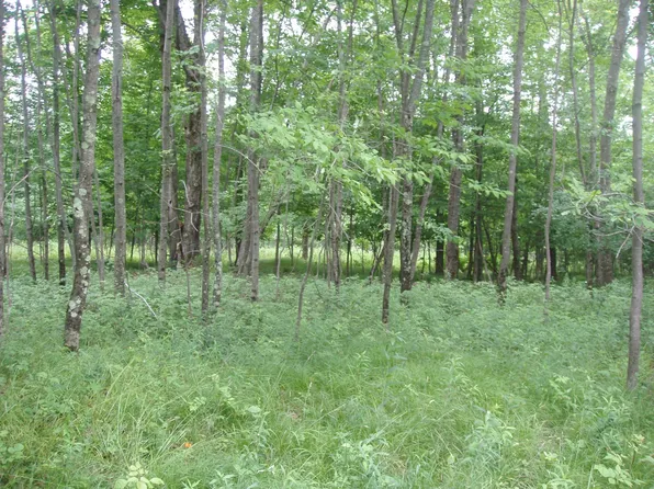 4th Add Margaret Ln Lot 12, Park Falls, WI 54552