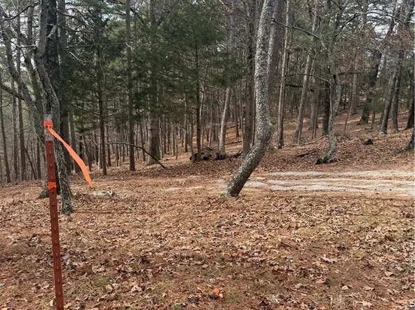 E Mountain Dr #6, Eureka Springs, AR 72632