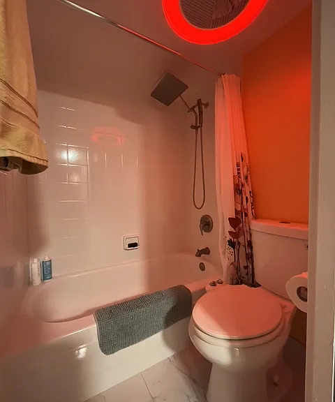 smart lighting, turn on and off with phone, voice with google or alexa, and changes to any color