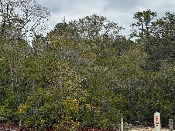 5th image of 0 Plantation Pines Dr