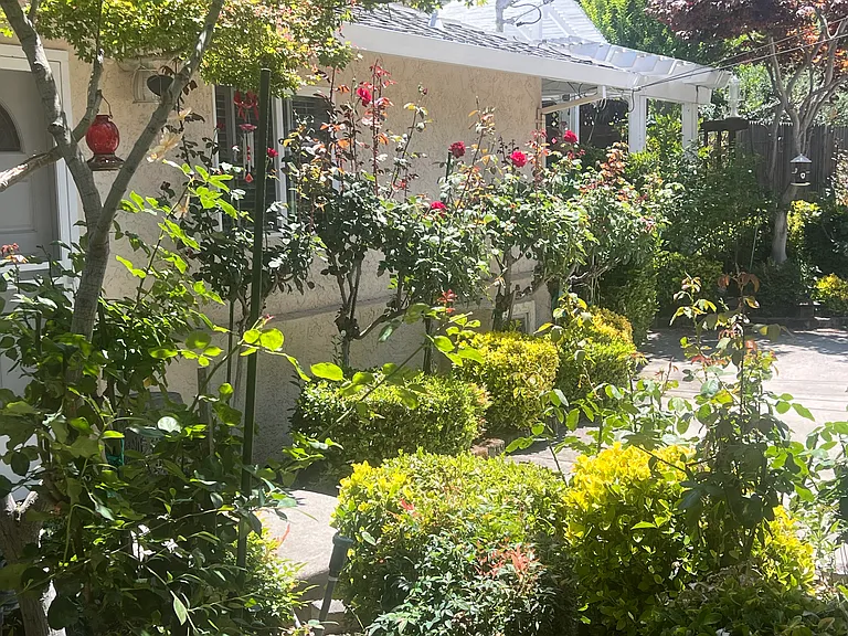 15 Sage Ct — Photo 16