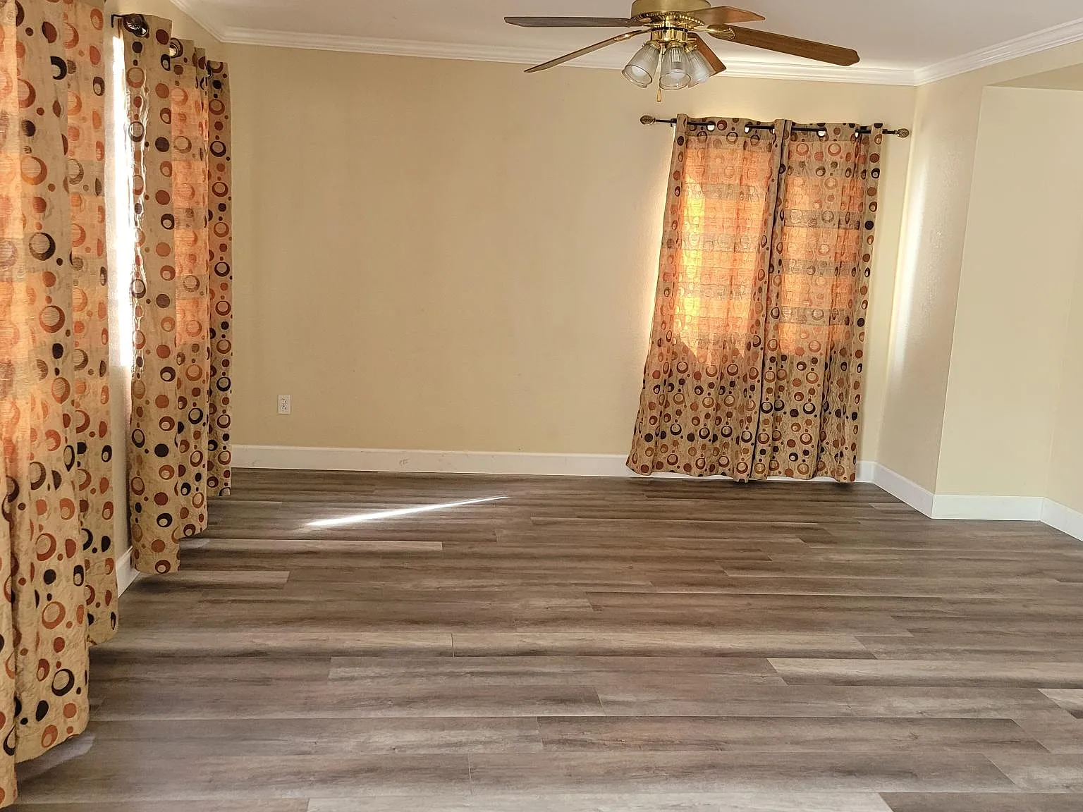 804 Bogetti Ln — Photo 3