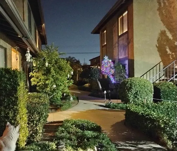 790 Juanita Ave #A — Photo 2
