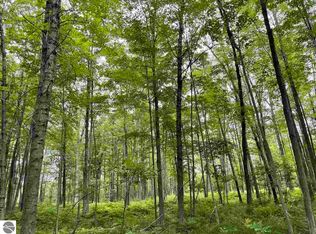 Hagley Rd, Omer, MI 48749