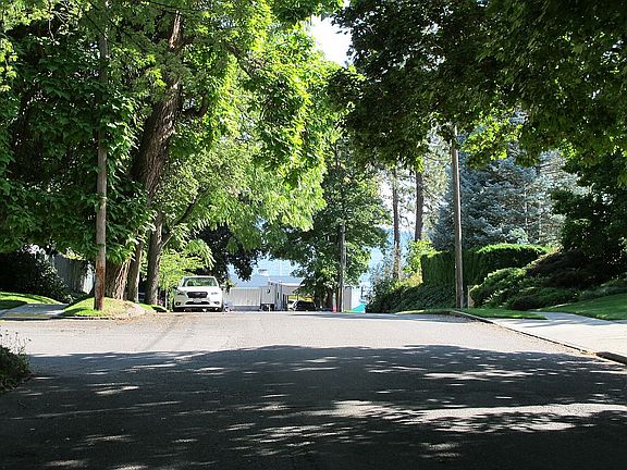 Springtime water view,front.