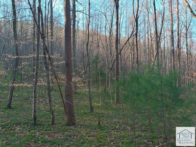 0 Pilson Sawmill Rd, Stuart, VA, 24171