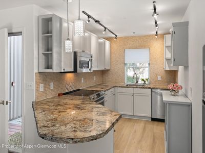 414 Pacific Ave #A, Aspen, CO, 81611