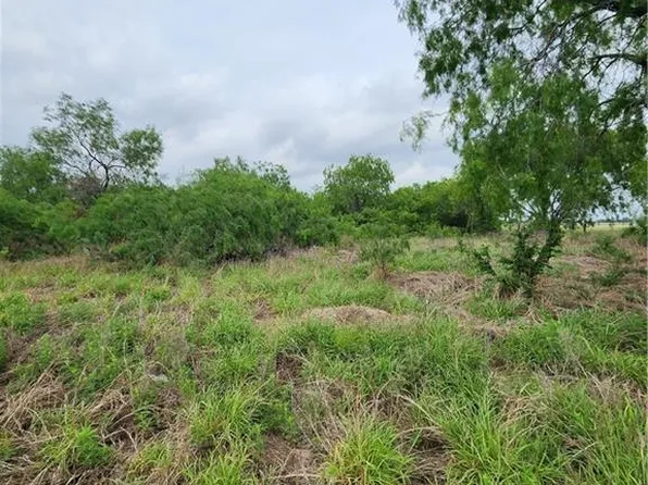 N/a Ranchito St, Edinburg, TX 78542