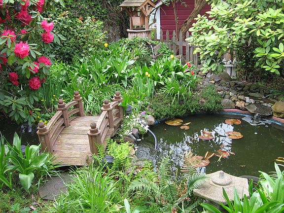 pond