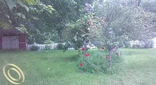 3rd image of 18341 Poinciana