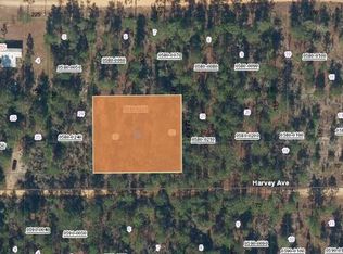 Xx Harvey Ave LOT 22, Interlachen, FL 32148