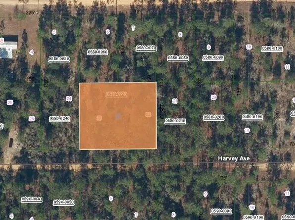 Xx Harvey Ave Lot 22, Interlachen, FL 32148