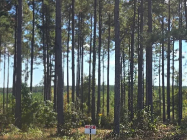 1 Army Recreation Rd, Florien, LA 71429