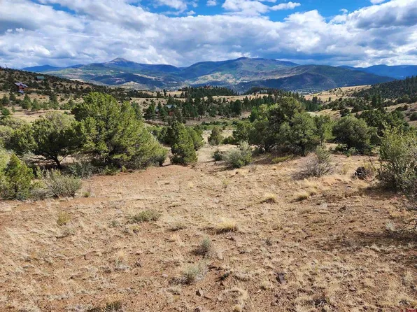 2867 BEAR CREEK CIR, South Fork, CO 81154