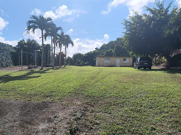 Carr 184 Km 6.4 Bo Mulas, Patillas, PR 00723