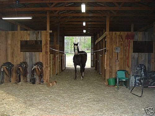 Barn Interior View 1