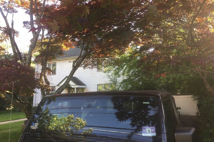 636 Westminster Ave, Elizabeth, NJ 07208 Zillow