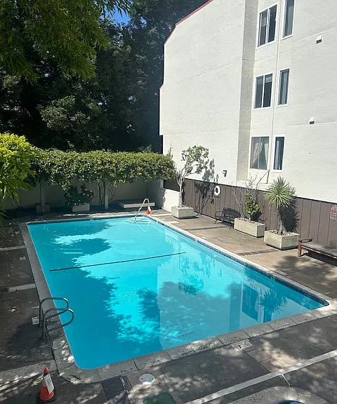 250 Whitmore St #301 — Photo 23
