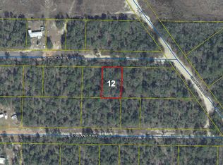 12 E Hibiscus Ave, Defuniak Springs, FL 32433