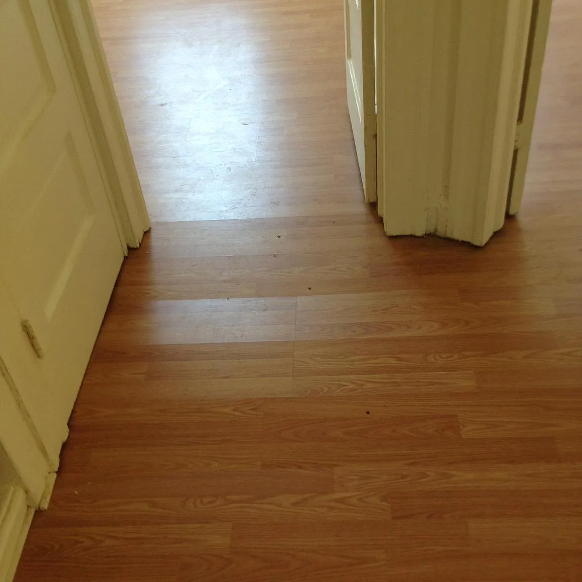 4 bed, 2.0 bath, $1,900 — Photo 3