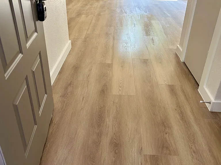 813 Panay Way Dr — Photo 12