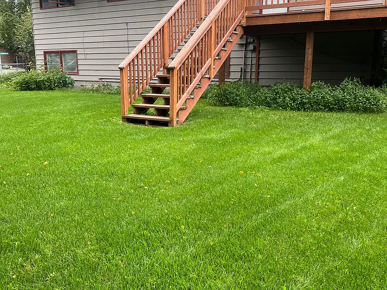 1315 Bennington Dr — Photo 10