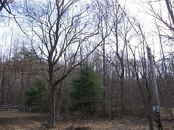 2nd image of 1323 Glass Hollow Rd #A
