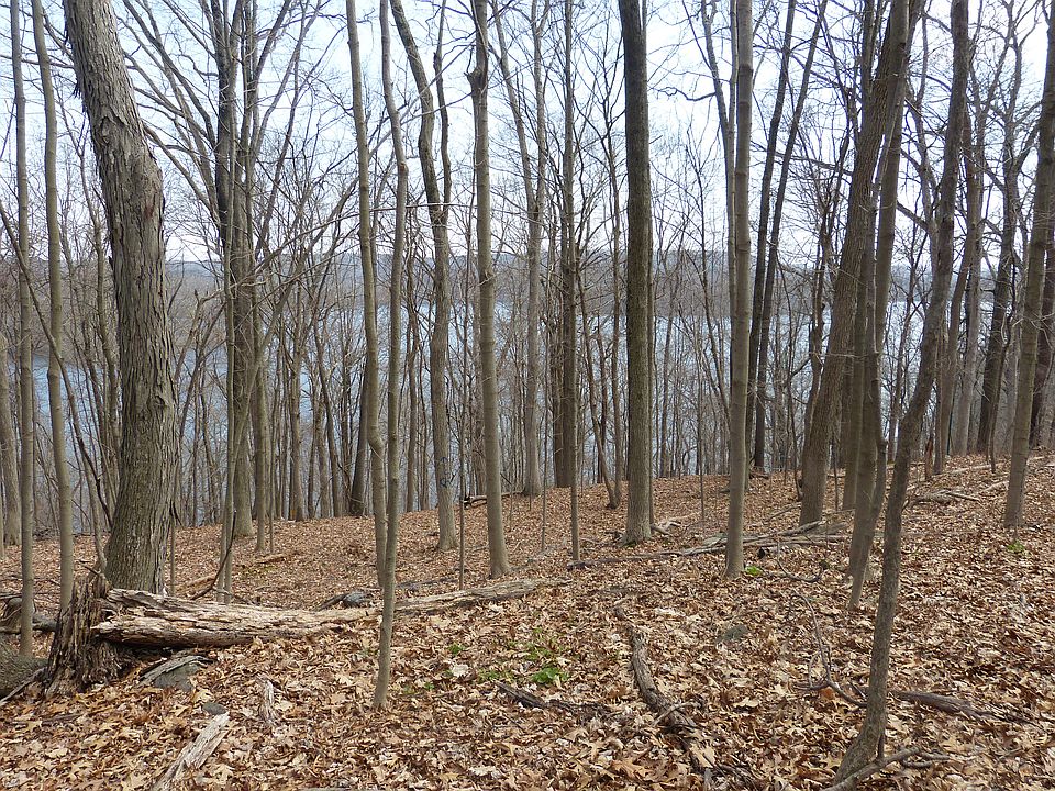 2nd image of 74 Minor Rd
