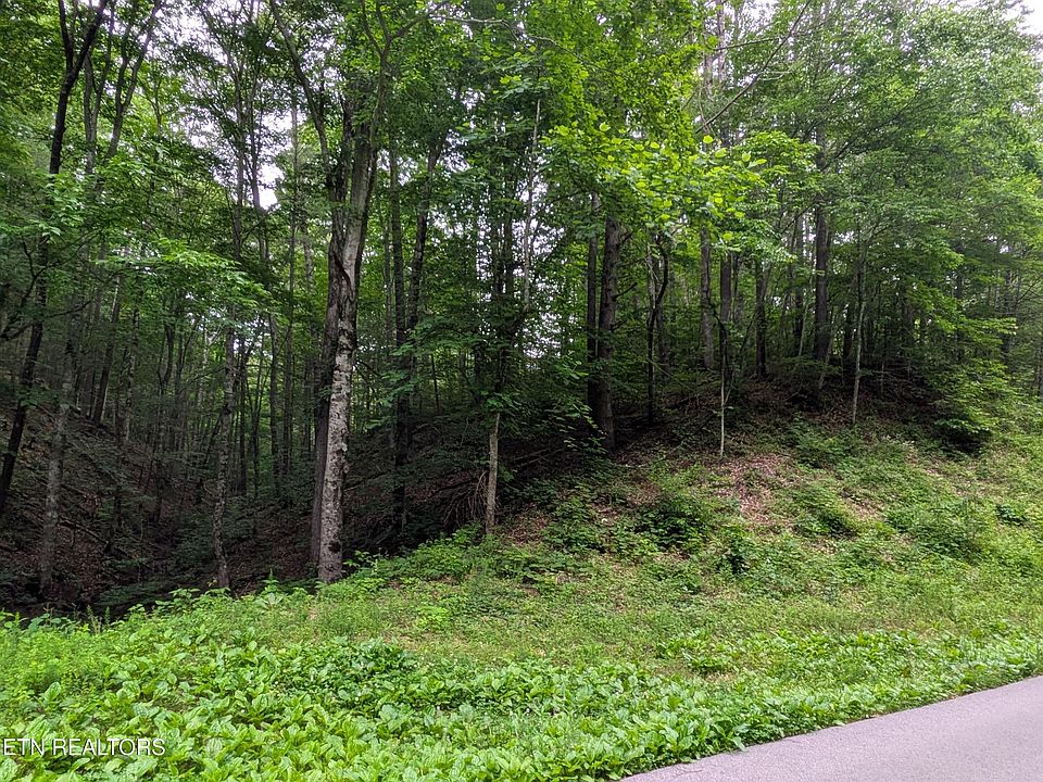 2nd image of 438 Kurts Corner Rd