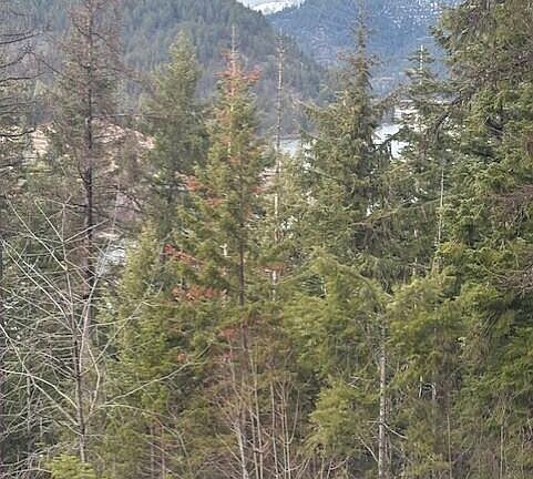 4th image of Nka S Hinds Drive Lots 10 #&-11