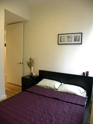 Rented by Link Real Estate NYC | media 35