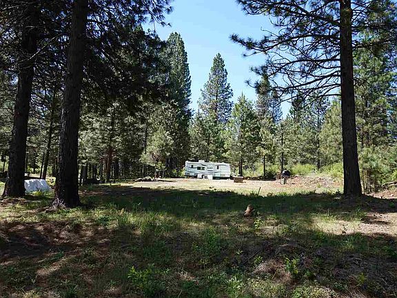 2nd image of 435 Shasta Pines Dr