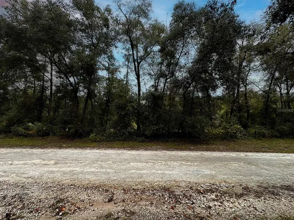 Saint Patrick Dr Lot 70, Dunnellon, FL 34432