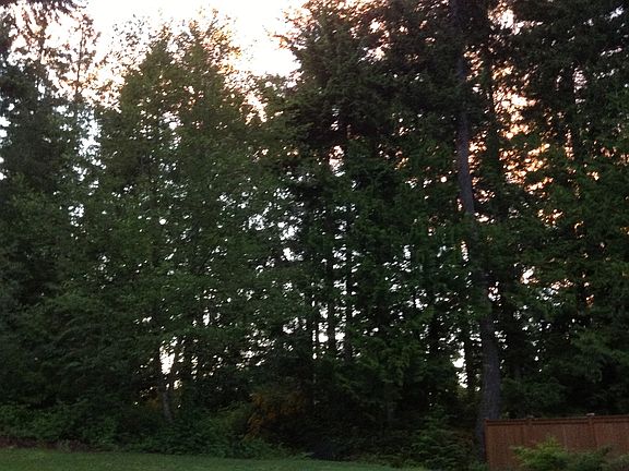 2nd image of 8019 Tieton Pl NW