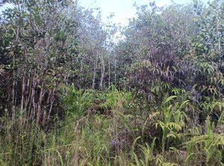 Road 3, Kurtistown, HI 96760