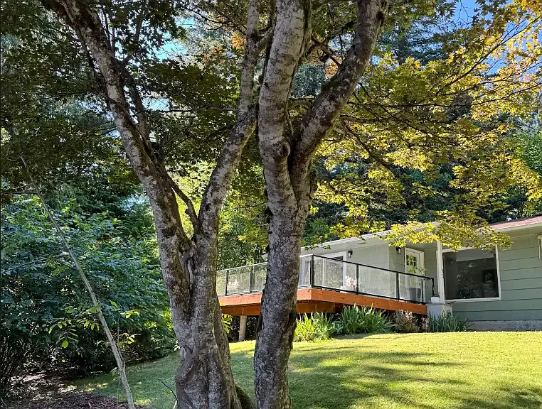 Serene and spacious yard with beautiful glass pane deck. Daytime and nighttime view of the mountains (and the stars).