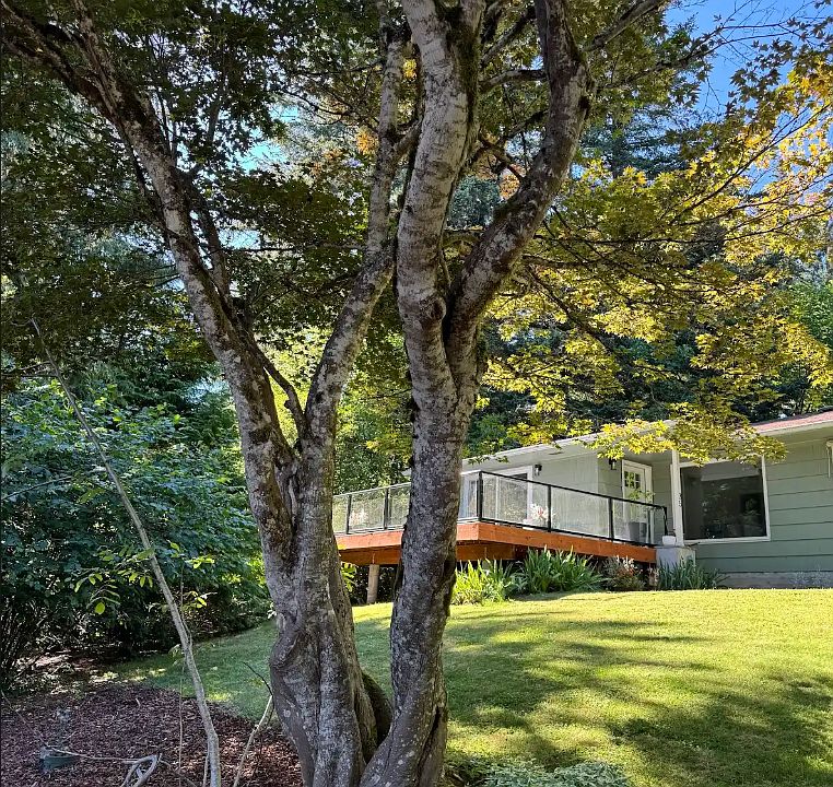 Serene and spacious yard with beautiful glass pane deck. Daytime and nighttime view of the mountains (and the stars).