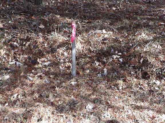 3rd image of 185 Meadow Ln