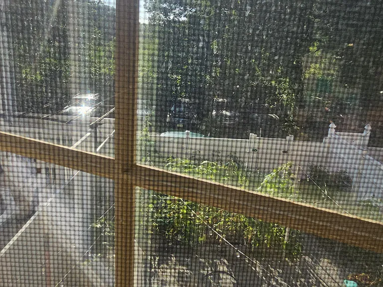 21 Sunset Ave #1 — Photo 6