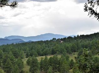 304 Bear Mountain Rd, Florissant, CO 80816
