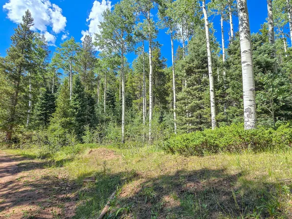 Purnell Ln, Fort Garland, CO 81133